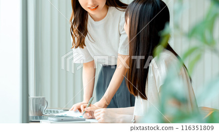 Two smiling businesswomen chatting 116351809