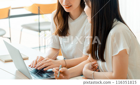 Two businesswomen using a computer Two businesswomen using a computer 116351815