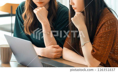 two businesswomen having a meeting 116351837