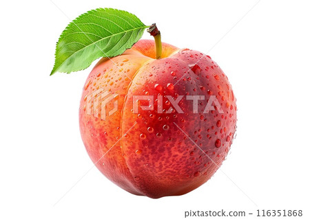 A closeup view of a ripe, fresh peach or nectarine covered in dew drops with green leaves isolated on white background 116351868