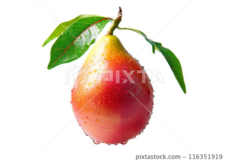 Ripe mango with green leaves and water drops isolated on white transparent background, colorful, exotic, and delicious 116351919