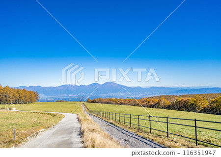 旭之岡公園蓼科越野路線 信州白樺高原 116351947