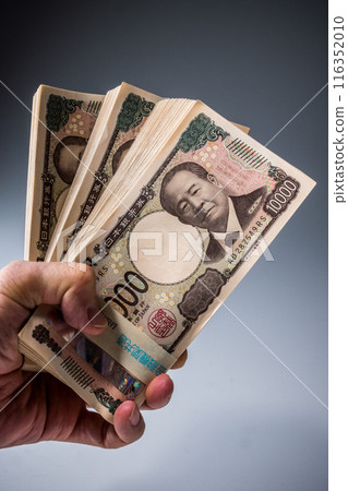 Image of the new banknote 116352010