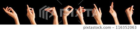 Set of woman hands showing different gestures, pointing and showing signs Set of woman hands showing different gestures, pointing and showing signs 116352063