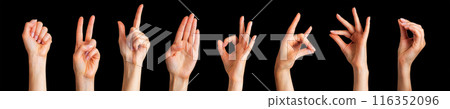 Set of woman hands showing different gestures, pointing and showing signs 116352096