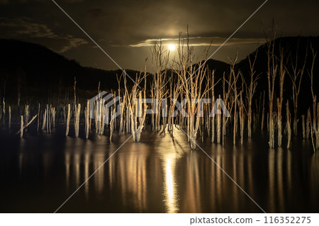 Moonlit Ochiai Dam Moonlit Ochiai Dam 116352275