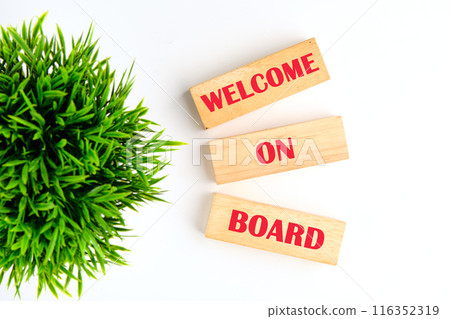 Welcome on Board on wooden blocks on a white background with a green plant out of focus 116352319