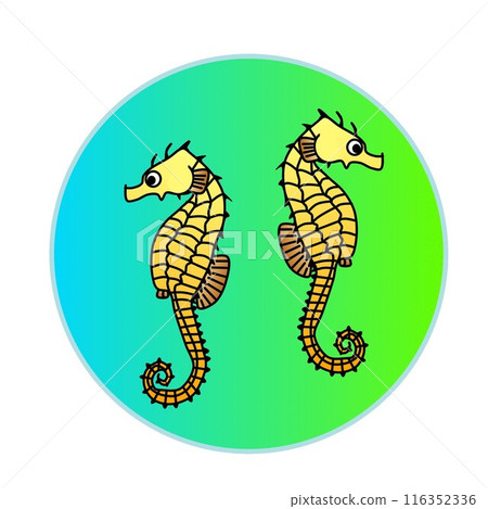 Seahorse's illustration Seahorse's illustration 116352336