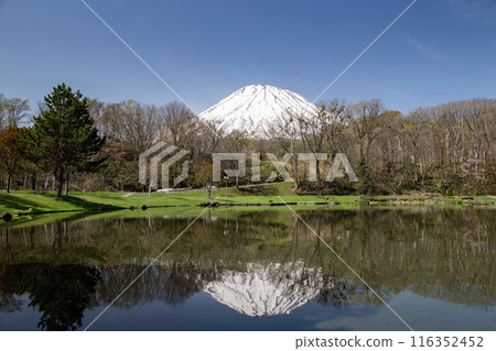 羊蹄山和早春的殘雪 116352452
