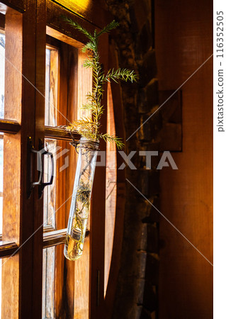 An old classroom with light streaming in through the window in the early morning. The sunlight shines on a single flower in a flask displayed on the windowsill. 116352505