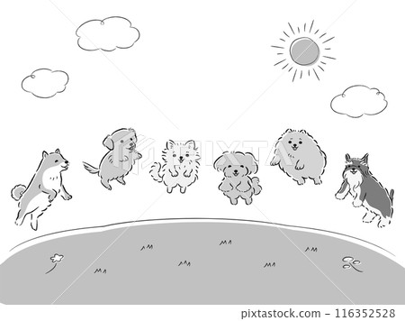 狗在草地上跳躍的插圖集 116352528