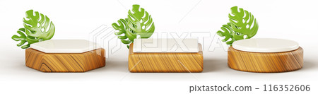 3d nature wooden podium with tropical green leaf plant for product display. Isolated round, square, hexagon stand of wood base and white stone. Premium beauty showcase render mockup. 3D illustration 3d nature wooden podium with tropical green leaf plant for product display. Isolated round, square, hexagon stand of wood base and white stone. Premium beauty showcase render mockup. 3D illustration 116352606
