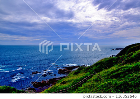 Scenery of the Jogashima coast on the Miura Peninsula Scenery of the Jogashima coast on the Miura Peninsula 116352646