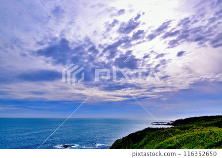 Scenery of the Jogashima coast on the Miura Peninsula Scenery of the Jogashima coast on the Miura Peninsula 116352650