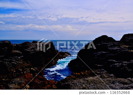 Scenery of the Jogashima coast on the Miura Peninsula Scenery of the Jogashima coast on the Miura Peninsula 116352668