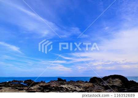 三浦半島城島海岸的風景 三浦半島城島海岸的風景 116352689