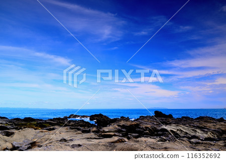 Scenery of the Jogashima coast on the Miura Peninsula 116352692