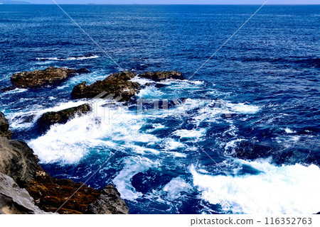 Scenery of the Jogashima coast on the Miura Peninsula 116352763