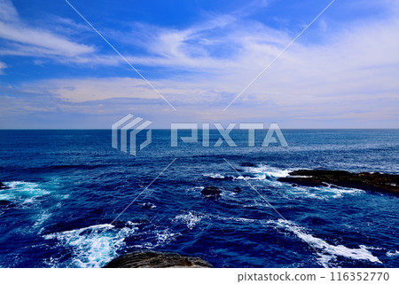 Scenery of the Jogashima coast on the Miura Peninsula Scenery of the Jogashima coast on the Miura Peninsula 116352770