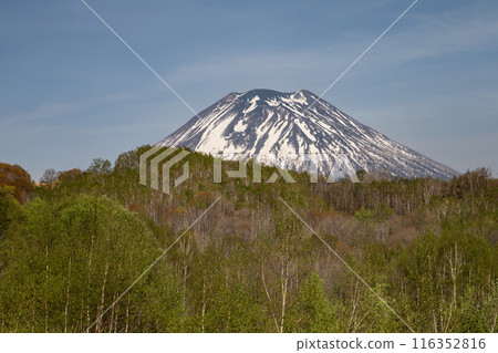 早春的新雪谷風景 早春的新雪谷風景 116352816