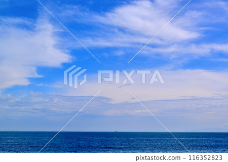 Scenery of the Jogashima coast on the Miura Peninsula Scenery of the Jogashima coast on the Miura Peninsula 116352823