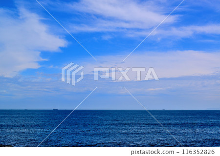 Scenery of the Jogashima coast on the Miura Peninsula Scenery of the Jogashima coast on the Miura Peninsula 116352826
