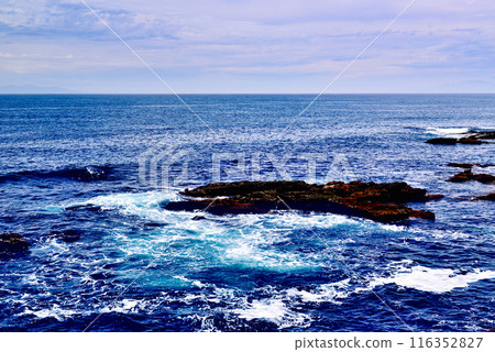 Scenery of the Jogashima coast on the Miura Peninsula Scenery of the Jogashima coast on the Miura Peninsula 116352827