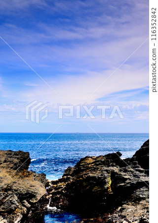Scenery of the Jogashima coast on the Miura Peninsula 116352842
