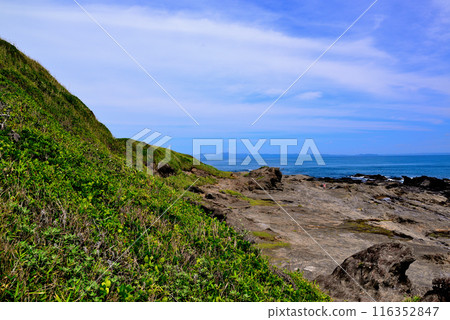 Scenery of the Jogashima coast on the Miura Peninsula Scenery of the Jogashima coast on the Miura Peninsula 116352847