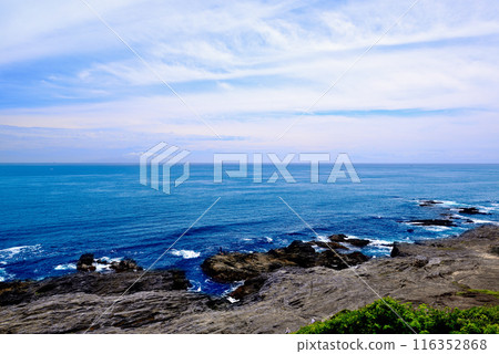 Scenery of the Jogashima coast on the Miura Peninsula Scenery of the Jogashima coast on the Miura Peninsula 116352868