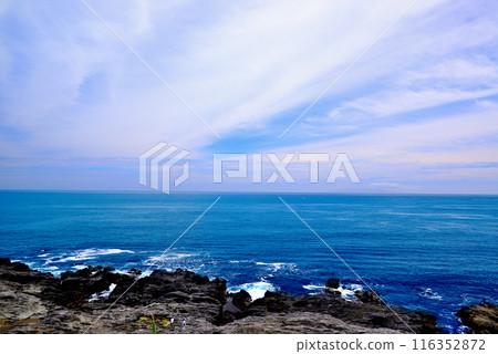 Scenery of the Jogashima coast on the Miura Peninsula Scenery of the Jogashima coast on the Miura Peninsula 116352872