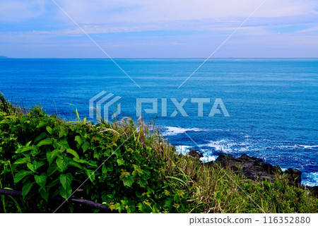 Scenery of the Jogashima coast on the Miura Peninsula Scenery of the Jogashima coast on the Miura Peninsula 116352880