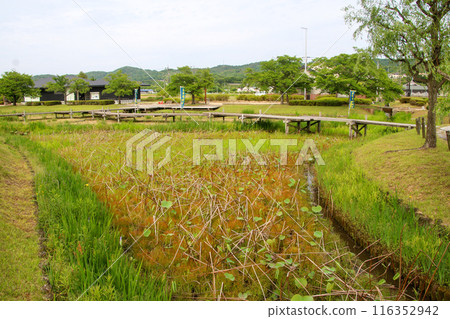 本高松城堡遺址 116352942