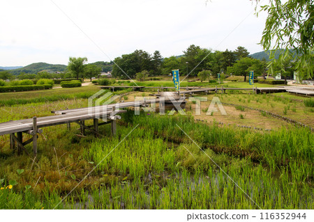 本高松城堡遺址 116352944