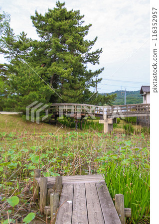 Ben-Takamatsu Castle Ruins 116352957