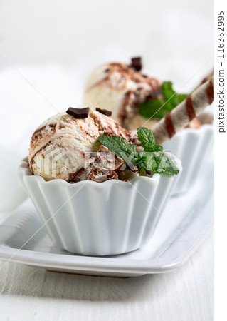Chocolate vanilla ice cream with chocolate chips. 116352995