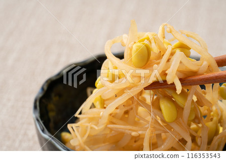 吃豆芽納木爾 116353543