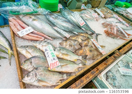 海鮮市場 黑鯛、鰤魚、真鯛、海魴、小藍鰭鮪魚 海鮮市場 黑鯛、鰤魚、真鯛、海魴、小藍鰭鮪魚 116353596