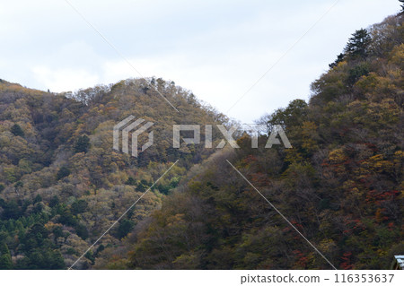 Drive through the Natsui River Valley #23 116353637