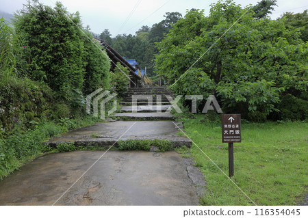 Kumano Kodo Daimonzaka 116354045