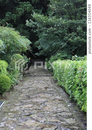 Kumano Kodo Daimonzaka Kumano Kodo Daimonzaka 116354049