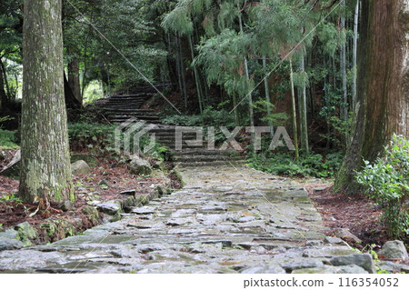 Kumano Kodo Daimonzaka Kumano Kodo Daimonzaka 116354052