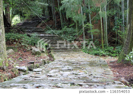 Kumano Kodo Daimonzaka Kumano Kodo Daimonzaka 116354053