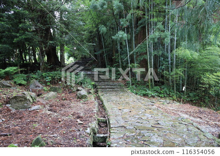 Kumano Kodo Daimonzaka Kumano Kodo Daimonzaka 116354056