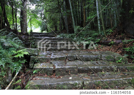Kumano Kodo Daimonzaka Kumano Kodo Daimonzaka 116354058