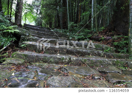 Kumano Kodo Daimonzaka 116354059