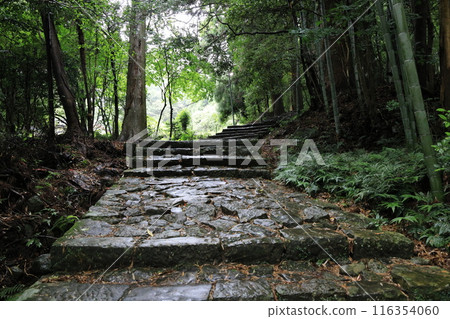 Kumano Kodo Daimonzaka 116354060