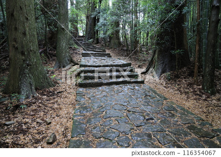 Kumano Kodo Daimonzaka 116354067