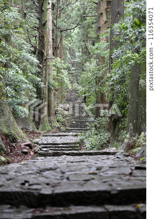 Kumano Kodo Daimonzaka 116354071