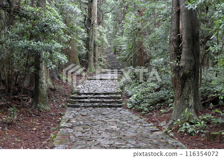 Kumano Kodo Daimonzaka 116354072